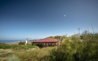 Adaptados al entorno