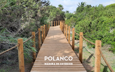 Pasarelas elevadas de madera: mejorando la experiencia del entorno