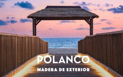 Pasarelas elevadas de madera en Camposoto, San Fernando
